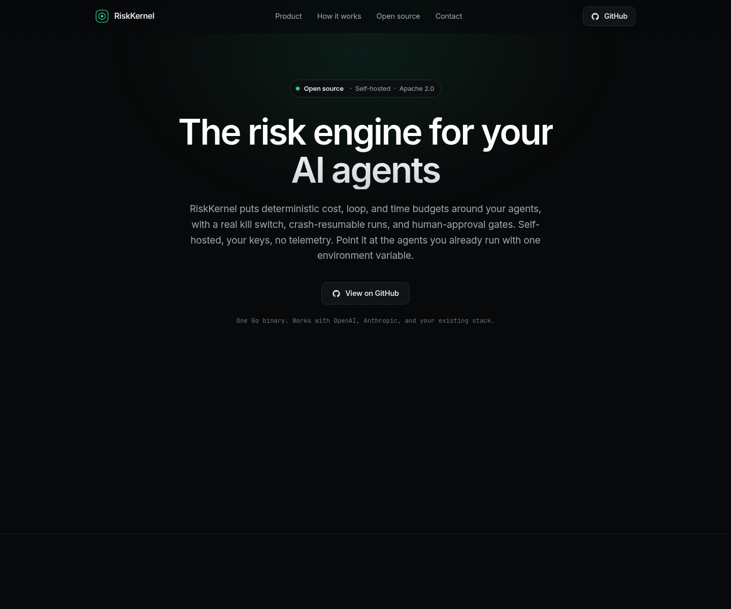 riskkernel.com, herramienta de IA para undefined